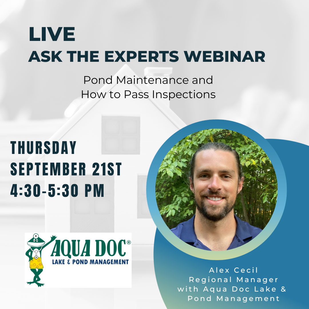 Pond Maintenance and How to Pass Inspections